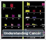 Understanding Cancer